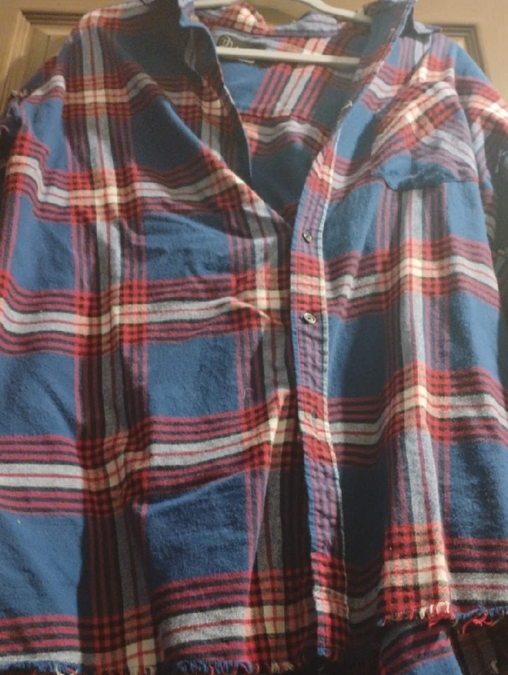 Blue and Red Plaid Button-Up Shirt